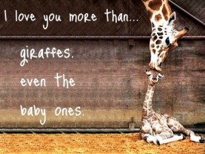 Quote giraffe