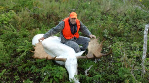 White moose killers face backlash from natives and the online ...