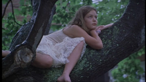 The-Virgin-Suicides--the-virgin-suicides-189655_1020_576.jpg