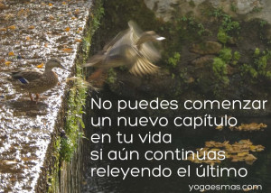 Related Pictures para reflexionar reflexiones vida memes pelauts