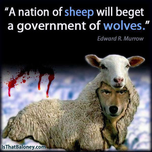 Nation-Of-Sheep.jpg