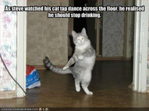 funny pictures your cat is tapdancing and you are drunk