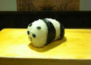 MEME LOL Panda Sushi