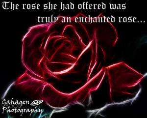 500px / Beauty and the Beast rose quote by Ben Gahagen