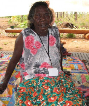 Tema: ¡El sector animal ha vuelto!