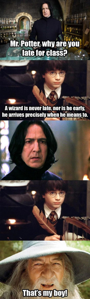 wizard is never late, nor is he early, funny harry potter quotes