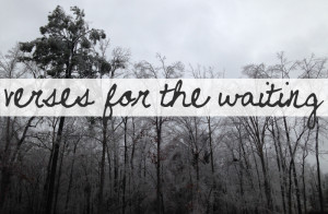 Leave a Reply Cancel reply