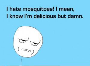 funny-pictures-mosquitoes-im-delicious