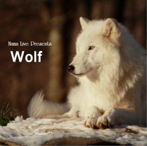 NAMA CEO Working Hard to Save Endangered Wolf through Book & Wolf CD