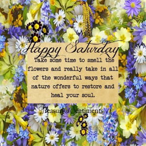 Happy Saturday quote via www.Facebook.com/TreasuryofSentiments