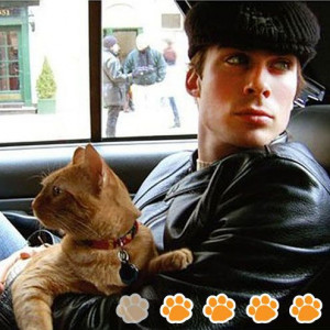 Ian Somerhalder and Gilles Marini with Cats: photos : People.com