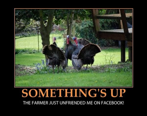 ... The farmer just unfriended me on Facebook - funny Thanksgiving turkeys