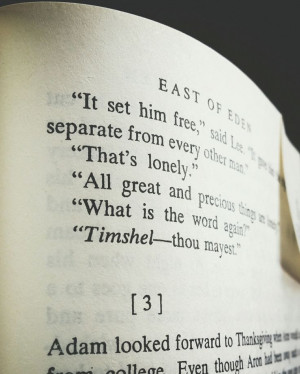Timshel — thou mayest.” - John Steinbeck, East of Eden