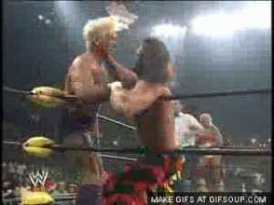 OtherGround Forums >>Ric Flair's Daughter Trying To Break Into the WWE