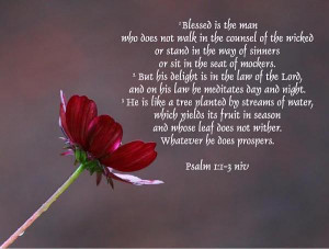 Good Bible Quotes About Life. QuotesGram