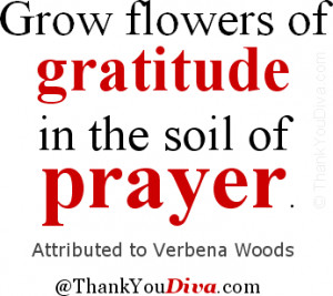 Grow flowers of gratitude in the soil of prayer. Attributed to Verbena ...