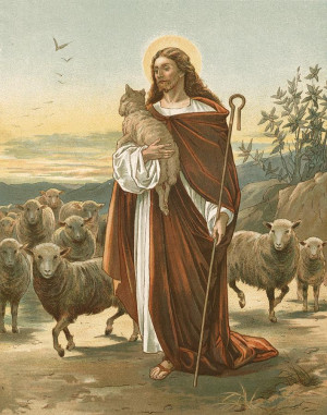 The Good Shepherd Bible