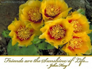 Friends Are The Sunshine Of Life