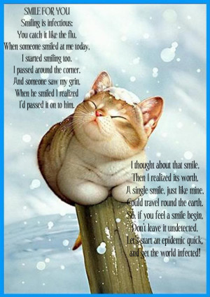 Cat Quotes (59)