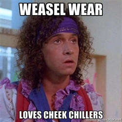 pauly shore meme