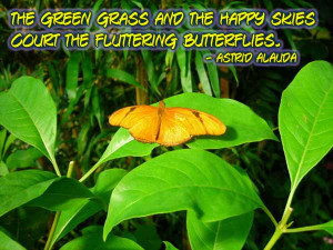 Butterfly Image Quotes And Sayings