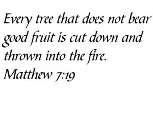 Every tree that does not bear good fruit is cut down and thrown into ...