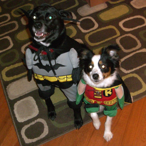 Batman and Robin aka Roxy and Sydney, Halloween 2008