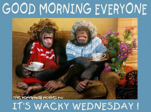 Good Morning Everyone! It's Wacky Wednesday!
