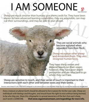 Am Someone…Sheep [infographic]
