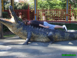 Related Pictures planking videos funny planking planking pictures ...