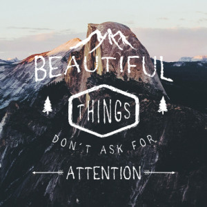 ... for attention — sean o’connell, the secret life of walter mitty