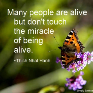 Many people are alive but don’t touch the miracle of being alive.