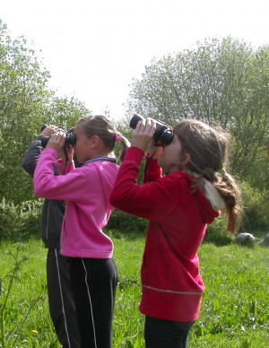 Bird Watching And Gardening