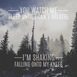 Shawn Mendes- Stitches lyrics from the Handwritten album. www ...