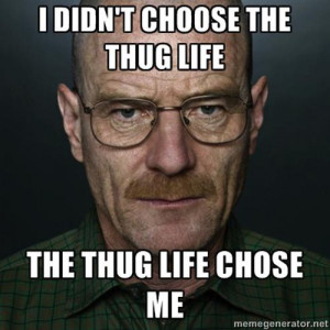 20 Best 'I Didn't Choose The Thug Life' Memes