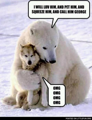 Polar bear and husky. I will love him, pet him, squeeze him, and call ...