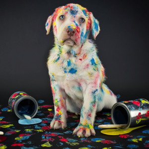 How to Give Your Boss Bad News and Keep Your Credibility