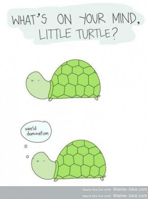 pics funny pictures pure evil turtles leave a reply ninja turtles art