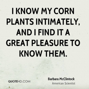 know my corn plants intimately, and I find it a great pleasure to ...