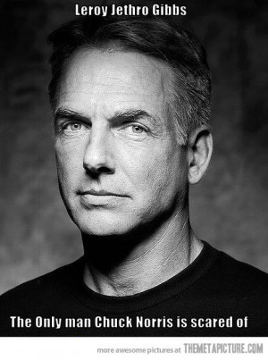 Leroy Jethro Gibbs…the only man Chuck Norris is scared of..