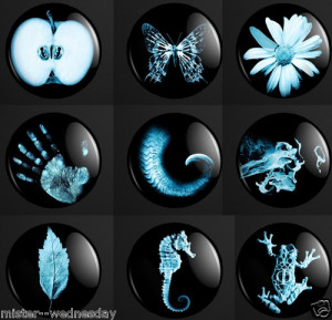 SET OF 9 FRINGE TV SHOW GLYPHS BUTTONS OBSERVER MYSTERY LEAF APPLE ...