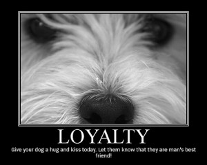 Tribute To The Loyalty Of Dogs
