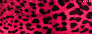 Facebook covers - Animal prints timeline cover images 002