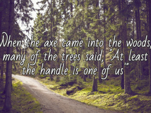 Into the Woods Quotes Picture Collection
