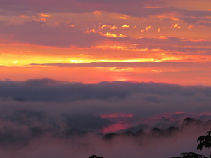 The Outsiders Quotes Sunset Only by the tower sunset