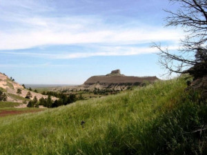 Grassland Biome HD Desktop