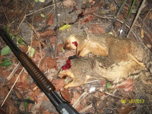 Hunting Indiana’s Seventh Annual Squirrel Contest