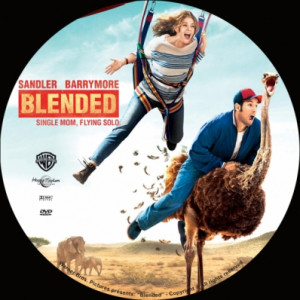 Blended Movie DVD Cover