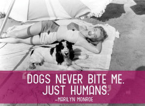 21 Great Quotes about Pets — After reading these quotes you will ...