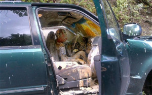 driver and his dog were left covered in gallons of paint after he ...